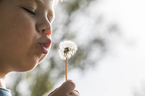 little boy blowing on dandelions. Boy blowing dandelion in summer day - Photo, Image