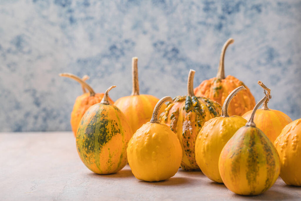 Juicy pumpkin on a pastel blue background. Autumn, fall, halloween concept. - Photo, Image