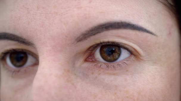 Kobieta Brązowe Oczy Powoli Otwarte, Patrząc w Aparat, Z Krótkimi Pięknymi rzęsami - Materiał filmowy, wideo