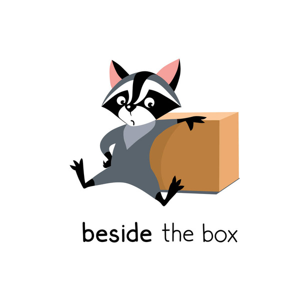 Preposition of place. Raccoon beside the box - Vector, Image