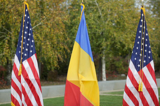 野菜の背景に極上の米国とルーマニアの旗とフィールド(選択的焦点)の画像の浅い深さ. - 写真・画像