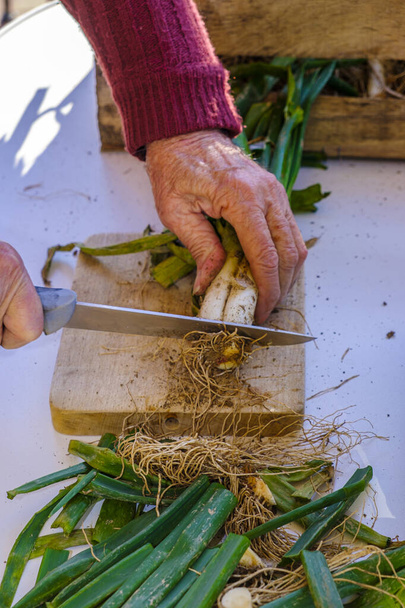 Деталь приготовления кальсо, нежный лук очень типичный для Каталонии, где их едят на гриле с соусом ромеску. - Фото, изображение