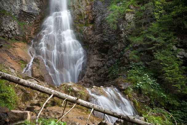 petite cascade au milieu de la forêt - Photo, image