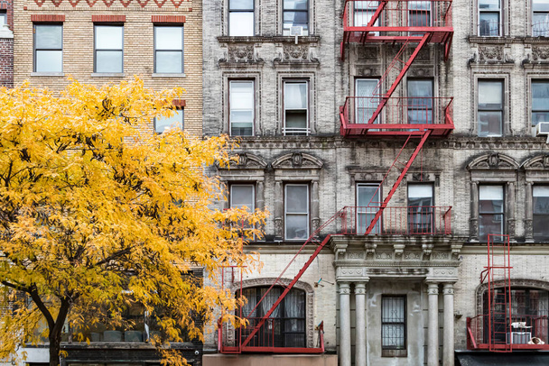 Nueva York caída escena de la calle con árbol de oro en frente del edificio antiguo en el barrio de East Village - Foto, imagen