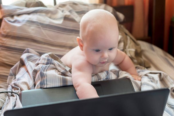 Yatakta dizüstü bilgisayarın önünde oturan tatlı, şaşkın bir bebek. - Fotoğraf, Görsel