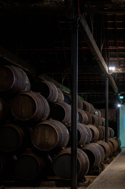 Vecchia loggia portuale con file di botti di legno di quercia per il lento invecchiamento del vino fortificato di rubino o tawny porto a Vila Nova de Gaia, nel nord del Portogallo - Foto, immagini