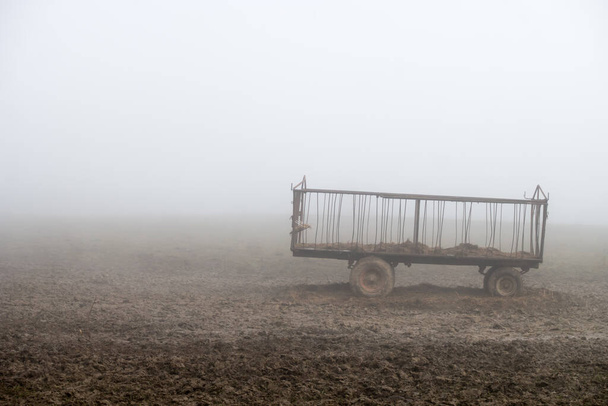 Старый сельскохозяйственный прицеп для перевозки сена на пастбищах для скота. Фотография в туманную, мутную осеннюю погоду. - Фото, изображение