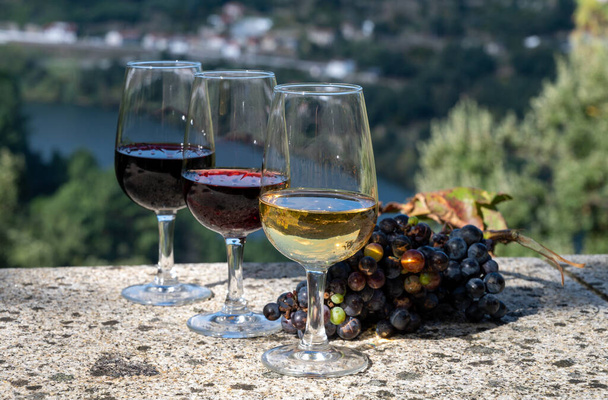 Szabadtéri kóstoló különböző erődített kikötői borok poharakban napsütéses ősszel, Douro folyó völgye, Portugália, közelkép - Fotó, kép