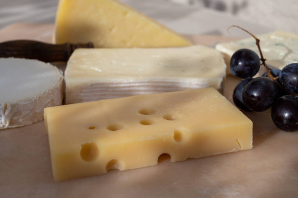 Colección de quesos franceses sobre tabla de mármol, emmental, carre de aurillac, petit cantal AOP Jeune, buche chevre y brie - Foto, Imagen
