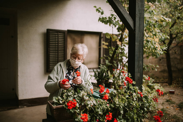 Senior caucasian woman with glasses and face mask arranges plants in the garden during quarantine of epidemic COVID - 19 coronavirus - Photo, Image