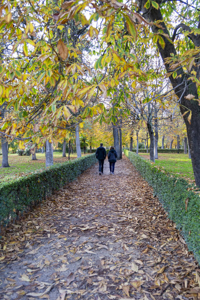 Deux personnes marchant le long d'un chemin plein de feuilles d'automne sèches et colorées à travers le parc du Retiro, à Madrid, en Espagne. Un chemin aux couleurs de l'automne. - Photo, image