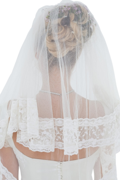 Rear view of bride in veil - Photo, Image