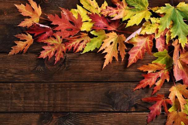 wooden background with colorful autumn maple leaves with empty space for own text - Fotó, kép