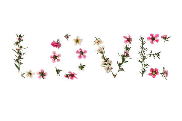 love letters from pink and white manuka tree flowers arranged on white background with copy space - Foto, Imagem
