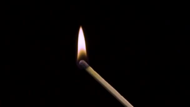 Een brandende lucifer brandt met rook op een zwarte achtergrond. Concept van slow-motion video met vuur. De hand steekt een lucifer aan. - Video