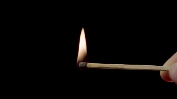 Een brandende lucifer brandt met rook op een zwarte achtergrond. Concept van slow-motion video met vuur. De hand steekt een lucifer aan. - Video