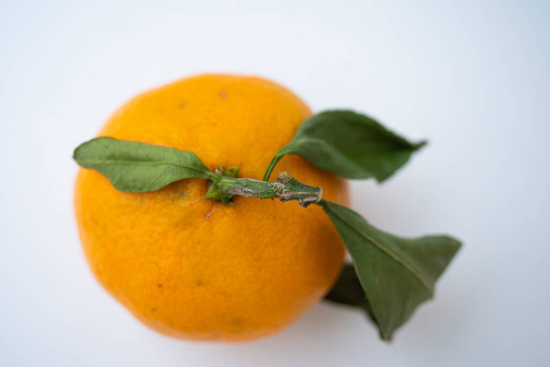 Mandarin Photo fruit citrus orange with leaves top view - Photo, Image