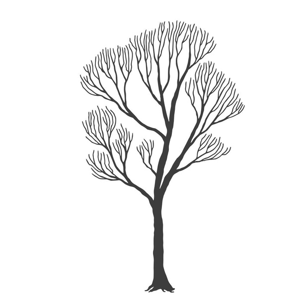 tree, many branches, halloween design vector drawing - Vector, imagen