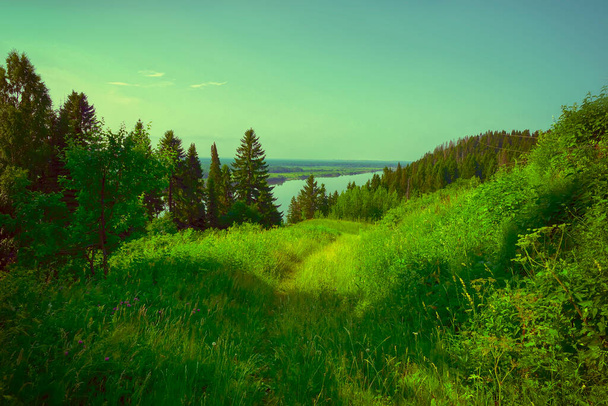 letnie wzgórza krajobrazowe pokryte lasem nad rzeką. trawiasta droga do rzeki - Zdjęcie, obraz