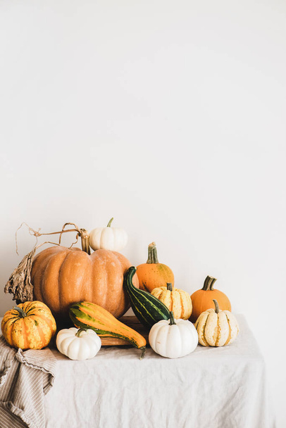 Colorful pumpkins of different shapes and size on light tablecloth over white wall at background, copy space, vertical composition. Pumpkins for Halloween or Thanksgiving Day Autumn holiday decoration - Zdjęcie, obraz