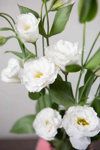 Beautiful large white Lisianthus flower - White rose on a white background. Close-up photo - Foto, Imagen
