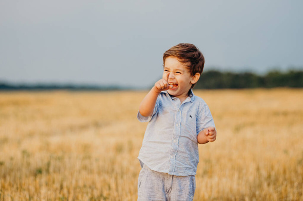 Emotional little adorable boy playing in the field in the warm rays of the setting sun in the summer. Childhood concept. - Foto, immagini