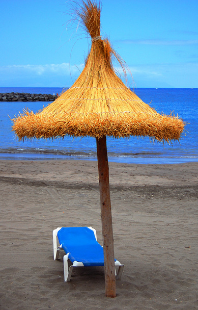 Beach umbrella - Photo, Image