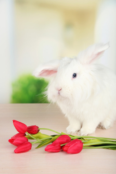 White cute rabbit and flowers  - Fotoğraf, Görsel