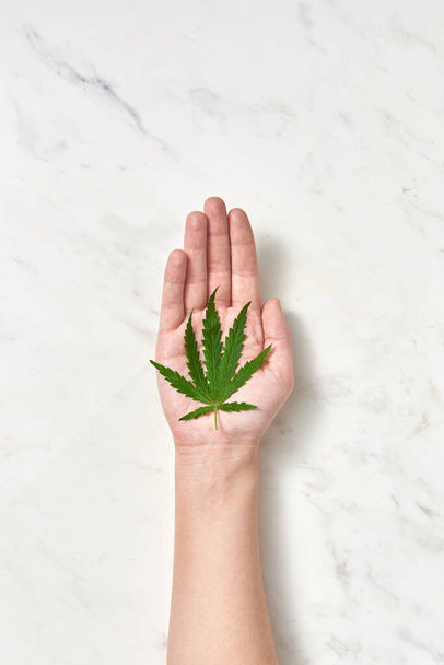 Biologisch groen blad van medicinale marihuana of marihuana plant op de hand van een vrouw op een lichtgrijze achtergrond met zachte schaduw, kopieer ruimte. Gebruik van cannabis voor medische doeleinden. - Foto, afbeelding