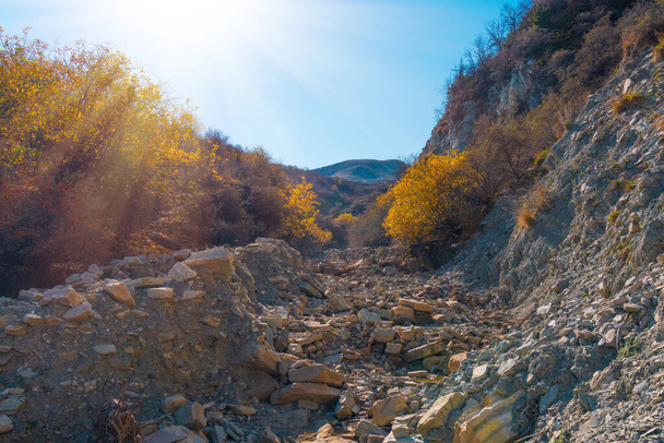 Dry bed of a mountain river - Foto, Imagen
