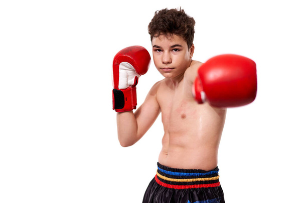 Young kickboxing fighter in red gloves with various strikes posing on white background - Φωτογραφία, εικόνα