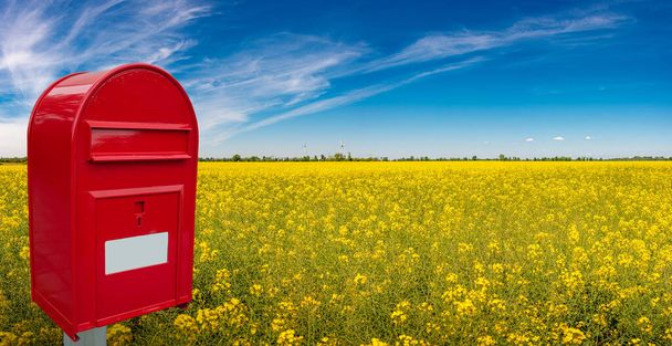 Nagy piros elegáns postaláda fehér üres jegyzet helyet cím áll szabadban előtt gyönyörű vidéki táj farm mező sárga raps virágok és kék ég. - Fotó, kép