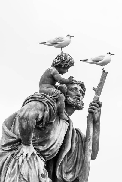 Racci sedící na soše na Karlově mostě, Praha, Černá a bílá - Fotografie, Obrázek