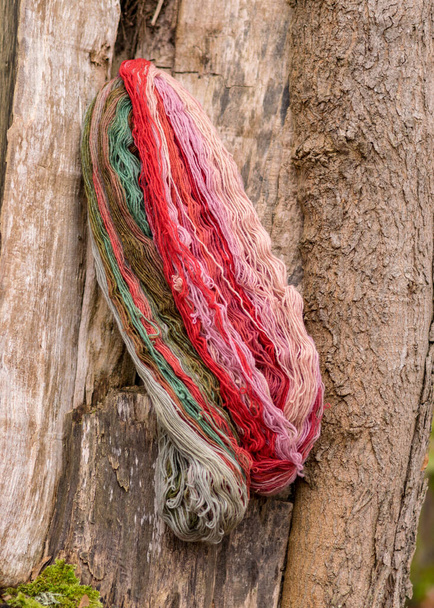 barevné přadénko z vlny na starém dřevěném pařezu, koncept ruční práce, ruční pletení, podzimní čas, ruční práce doma, podzim - Fotografie, Obrázek