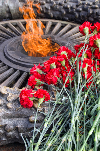 May 9 Victory Day, Red carnations and eternal flame, День Победы - Zdjęcie, obraz