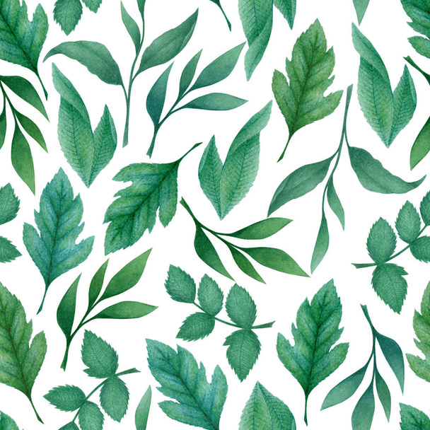 Akvarell zökkenőmentes minta kézzel húzott kék zöld levelek és ágak elszigetelt fehér háttér. Botanikai illusztráció tervezés, nyomtatás, szövet, textil - Fotó, kép