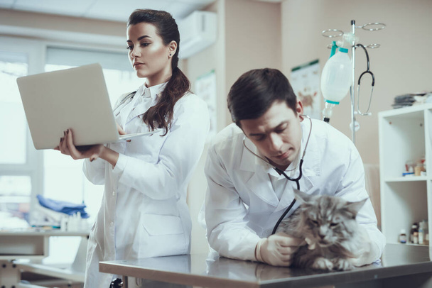 Woman stands with laptop in veterinary clinic.  - Photo, image