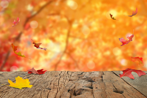 Feuilles d'érable d'automne sont sur une table en bois, avec une forêt de feuilles tombées et un affichage à blanc. - Photo, image