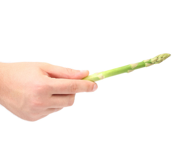 Hand holds fresh green asparagus - Foto, imagen