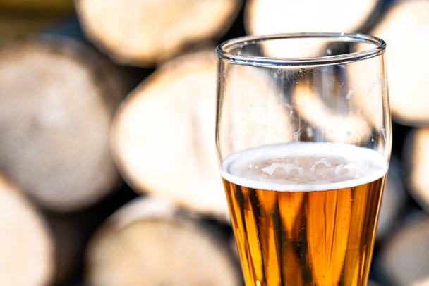 Light beer in a glass goblet on the background of firewood. Rest in the country. Beer foam in the sunlight - Foto, Imagen