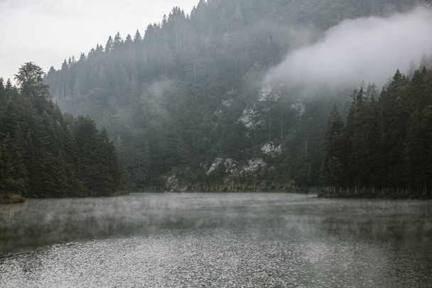 Foggy early morning on the mountain lake - Fotografie, Obrázek