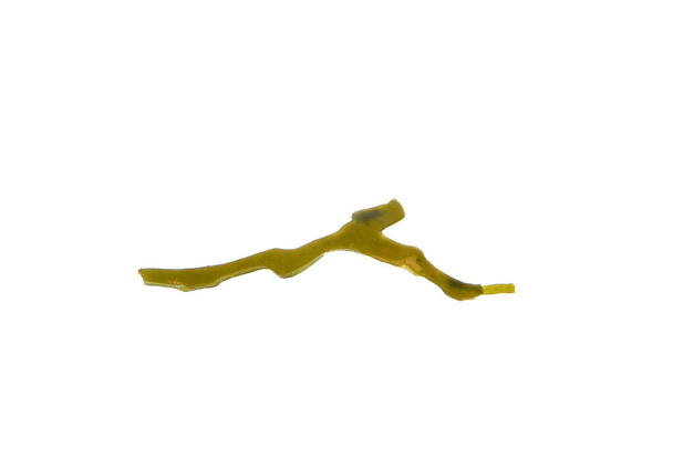                                seaweed isolated on white background - Photo, Image