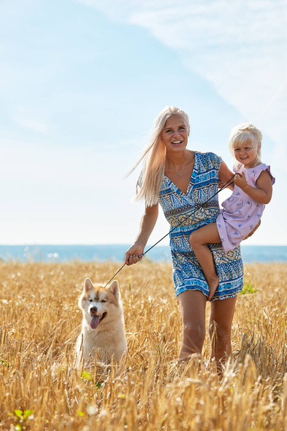 Милая девочка с мамой и собакой на пшеничном поле. Счастливая молодая семья проводит время вместе на природе. Мама, маленькая девочка и собачья хаски отдыхают на улице. вместе, любовь, счастье концепция. - Фото, изображение