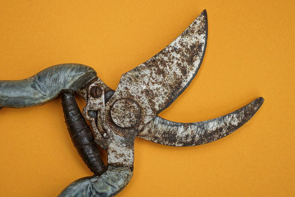 часть старого серого сада ножницы покрыты ржавчиной лежит на коричневом столе - Фото, изображение