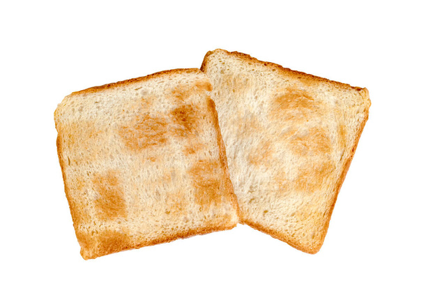 Підсмажений шматочок хліба ізольований на білому тлі
  - Фото, зображення