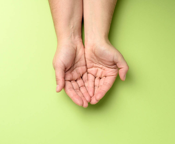 дві жіночі руки складені долонею на зеленому фоні, вид зверху
 - Фото, зображення