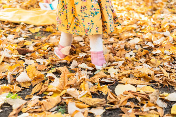 happy little child, baby girl laughing and playing in the autumn on the nature walk outdoors - Foto, afbeelding