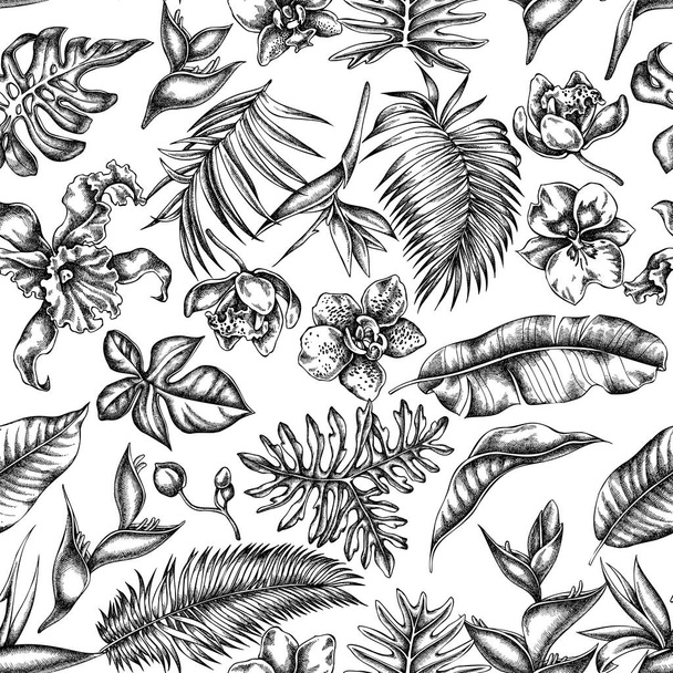 Seamless pattern with black and white monstera, banana palm leaves, strelitzia, heliconia, tropical palm leaves, orchid - Vector, Image