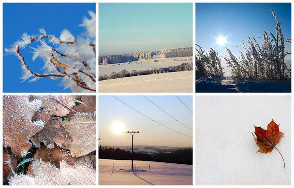 Fotoğraf kolajı kış mevsimi manzaraları içerir. - Fotoğraf, Görsel