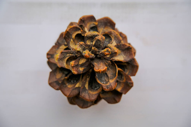pine cone on a white wooden background close-up. Top view. Christmas decorations, design. Copy space - Photo, Image